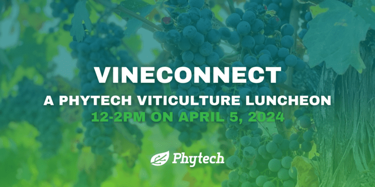 2024 VineConnect Luncheon