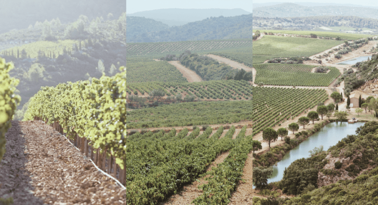 unnamed - 2024-03-14T093544