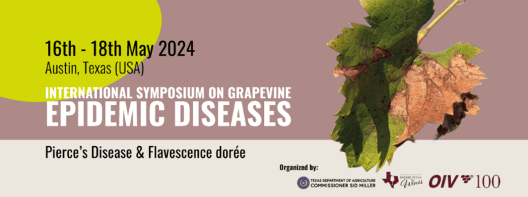 International Symposium on Grapevine Epidemic Diseases