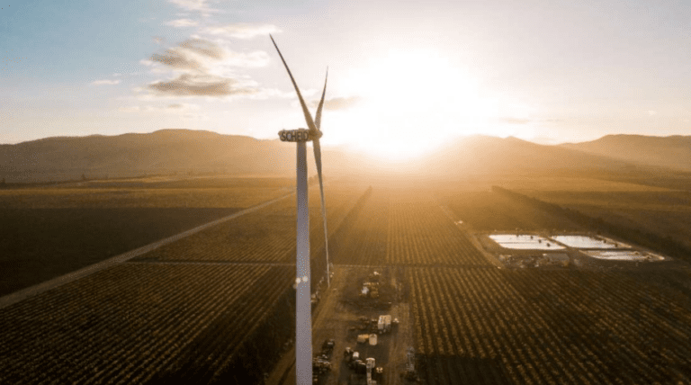 Scheid_Sustainability