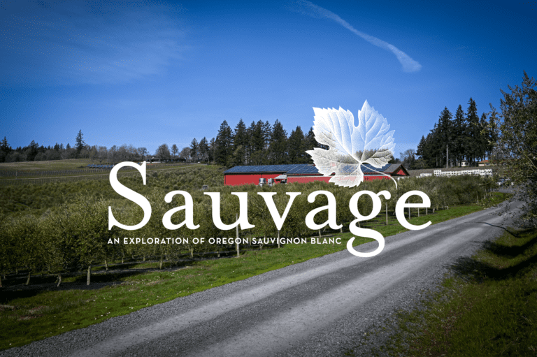 Sauvage Socials Hero Image