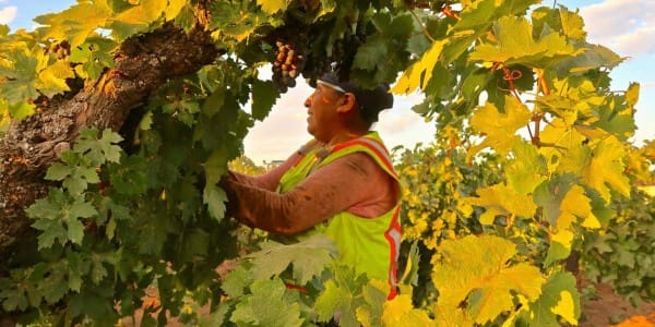 North Coast Wine Industry Expo