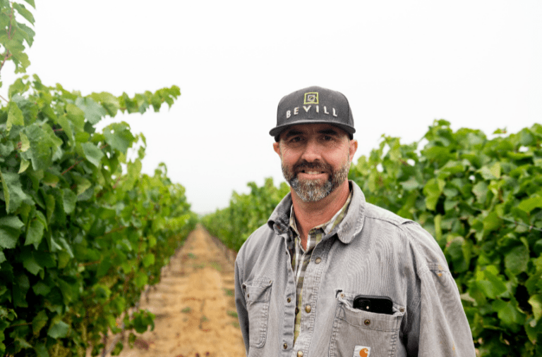 BevillVineyard_PiercesDisease