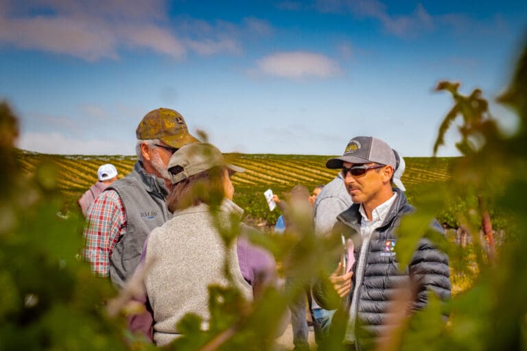Growers talking through canopy beal