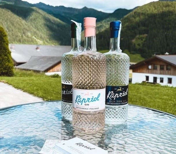 Dalla Terra_KapriolGin_thumb