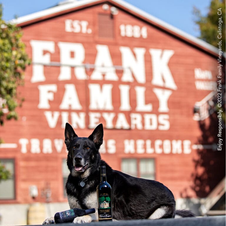 FFV FrankForACause IG InFeed 1080x1080 1