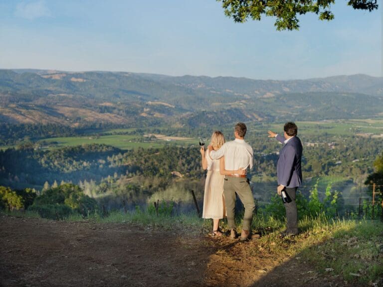 Summer in the Spring Mountain District