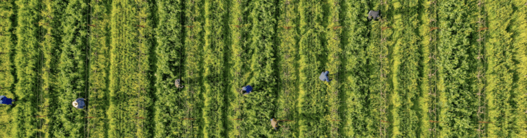 Screenshot 2024-06-12 at 10.40