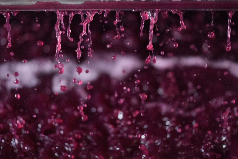 Red,Wine,Drops,After,First,Fermentation,During,The,Pressing,Process