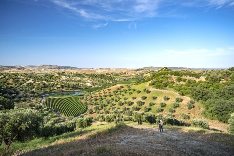 Biodiversità Rosaneti Librandi