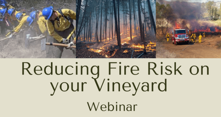 Reducefirerisk