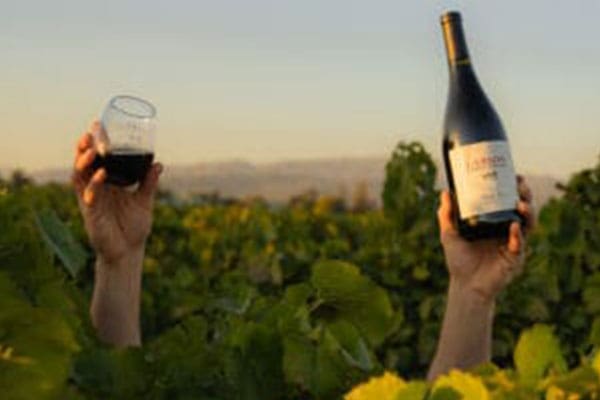 LF-PN-Glass-held-up-over-vineyard_cropped