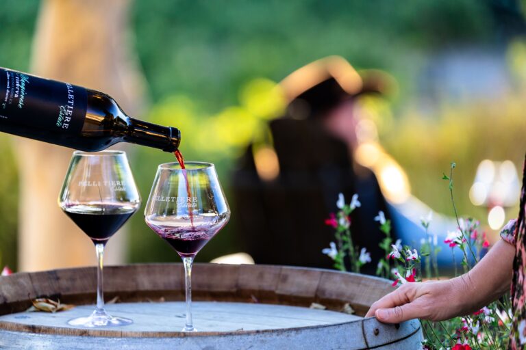 Pelletierre Standard Edit-84