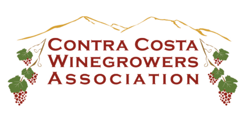 CCWG Logo Landscape