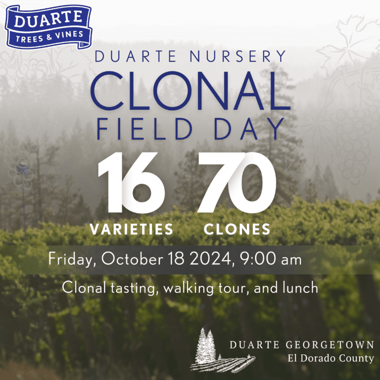Clonal Day SM Post 2024