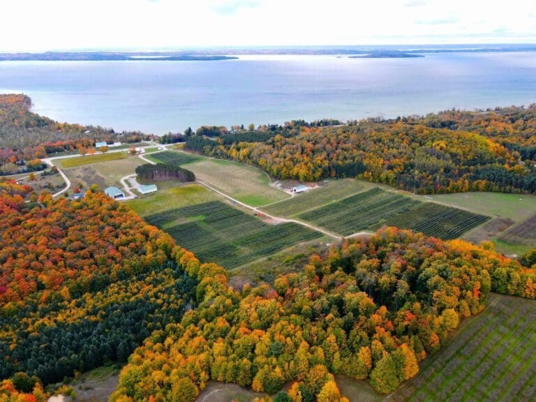 TWO K FARMS VISTA