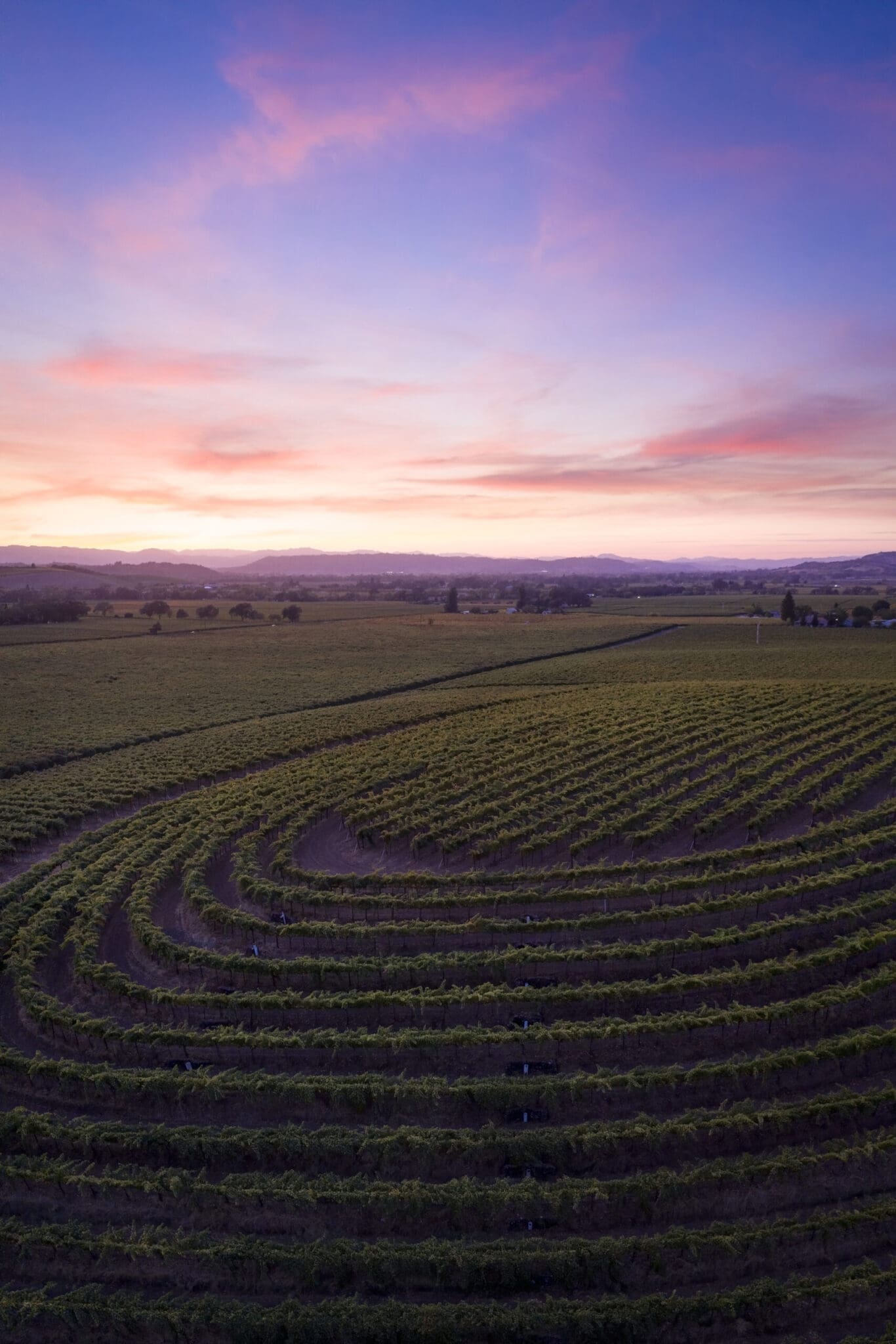 Precision Viticulture’s Recipe Art + Observation + Technology (But Not