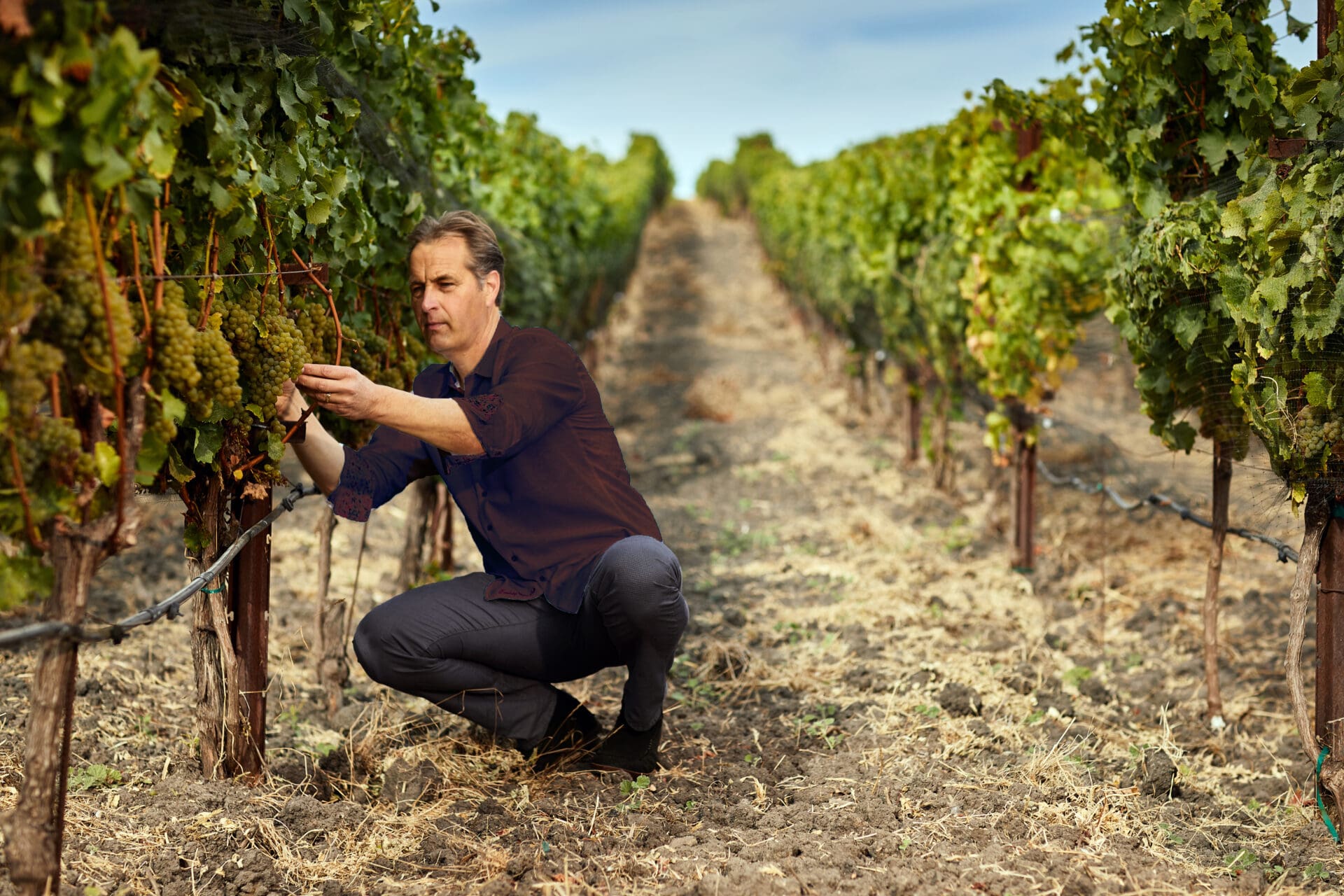 Precision Viticulture’s Recipe Art + Observation + Technology (But Not