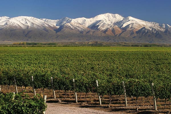 11_24_WSA_Importer_of_the_Year_HERO_Vino_del_Sol_1920x1280