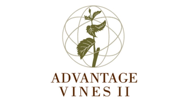 advantage-vines-ii_logo-ftimg-2