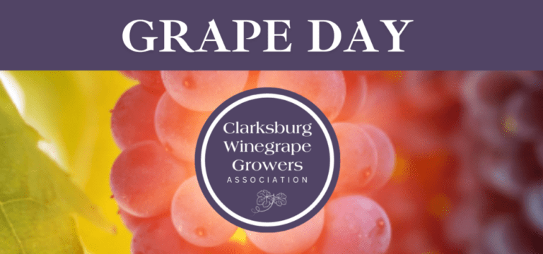 Clarksburg Grape Day logo