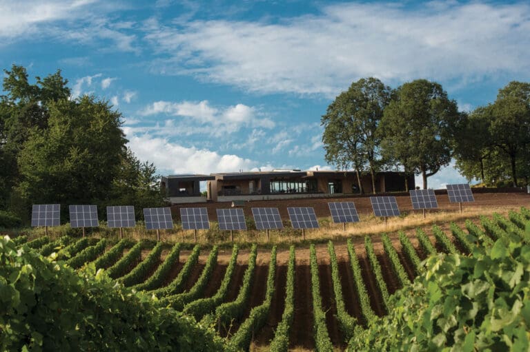 Sokol-Blosser-Solar-Panels