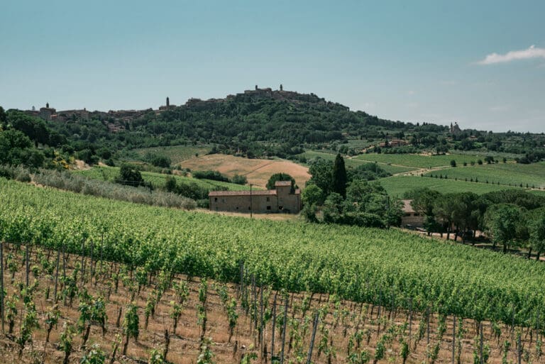 TERRAZZA-TALOSA-2-(1)