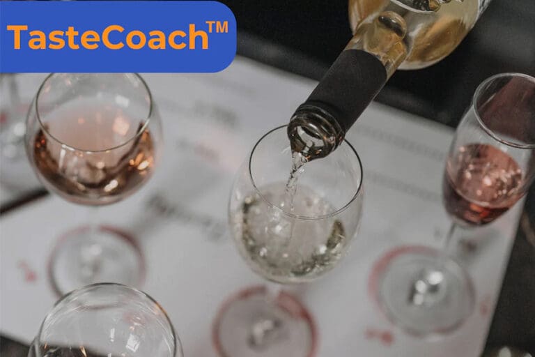 Taste_coach_wine_101_Class_ftimg