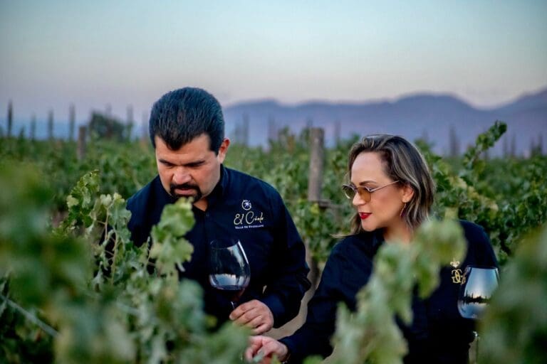 El Cielo Winery