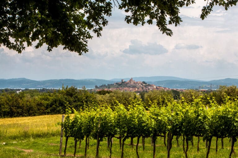 paese-panorama-Castiglone-vigneto-lago-Trasimeno-Umbria-Italia