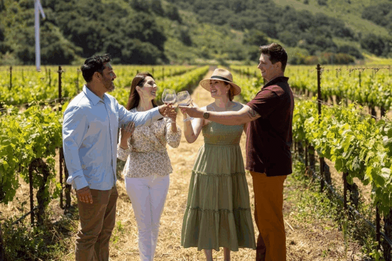 The Complete Guide to the Sta