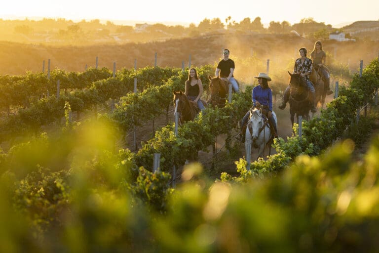 Temecula_California-Ranch-Company-Group-Horseback-Riding