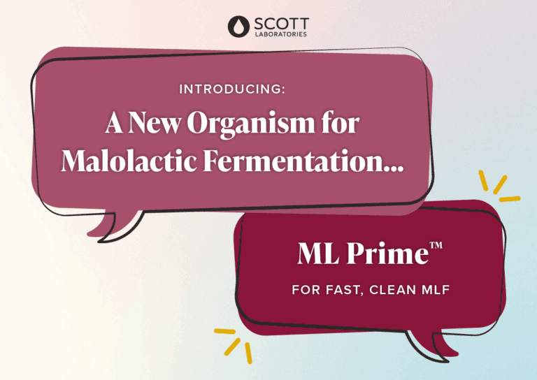 06-2025 WIN Supplier Spotlight - ML Prime Graphics-01