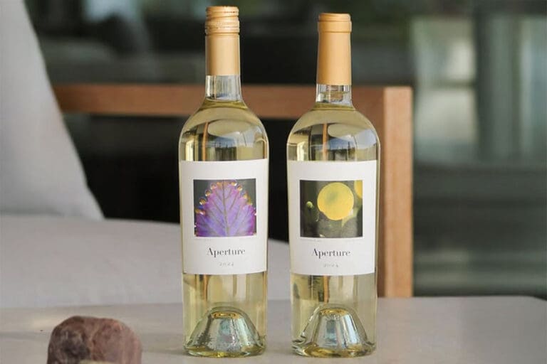 Chenin-Blanc-and-Sauvingon-Blanc_Ftimg