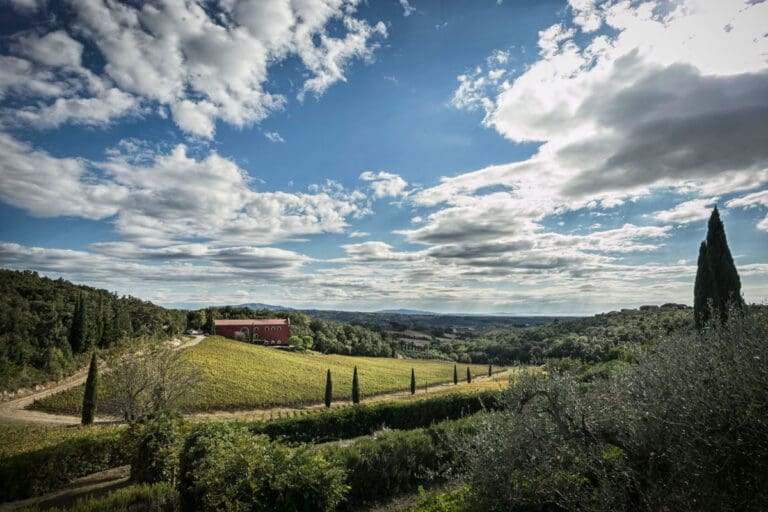 Caiarossa-panorama-ph-federico-Garcia