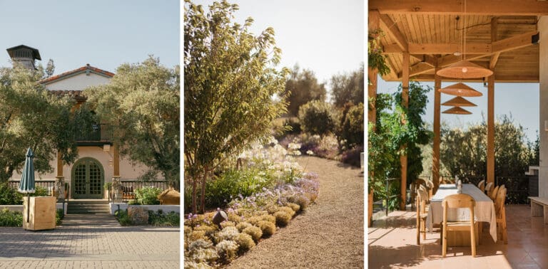 Burgess Cellar Tasting