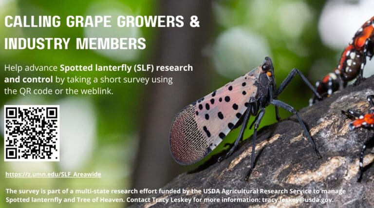 Join the Effort to Combat Spotted Lanternfly
