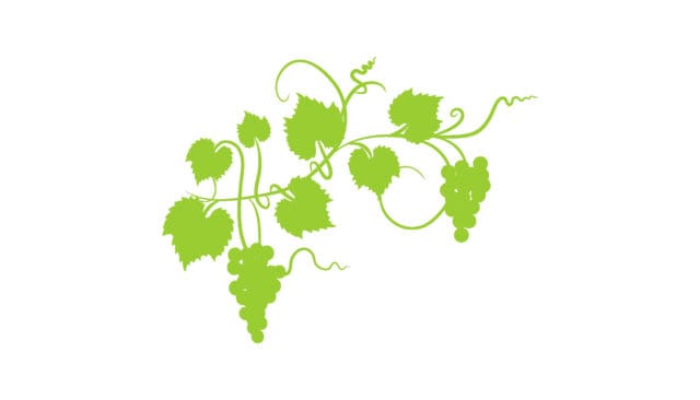 jancisrobinson.com