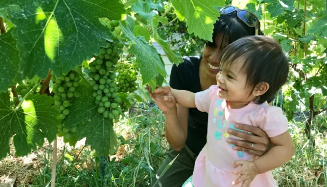 winebusiness.com
