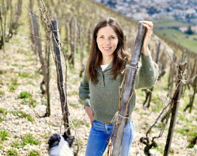 thedrinksbusiness.com