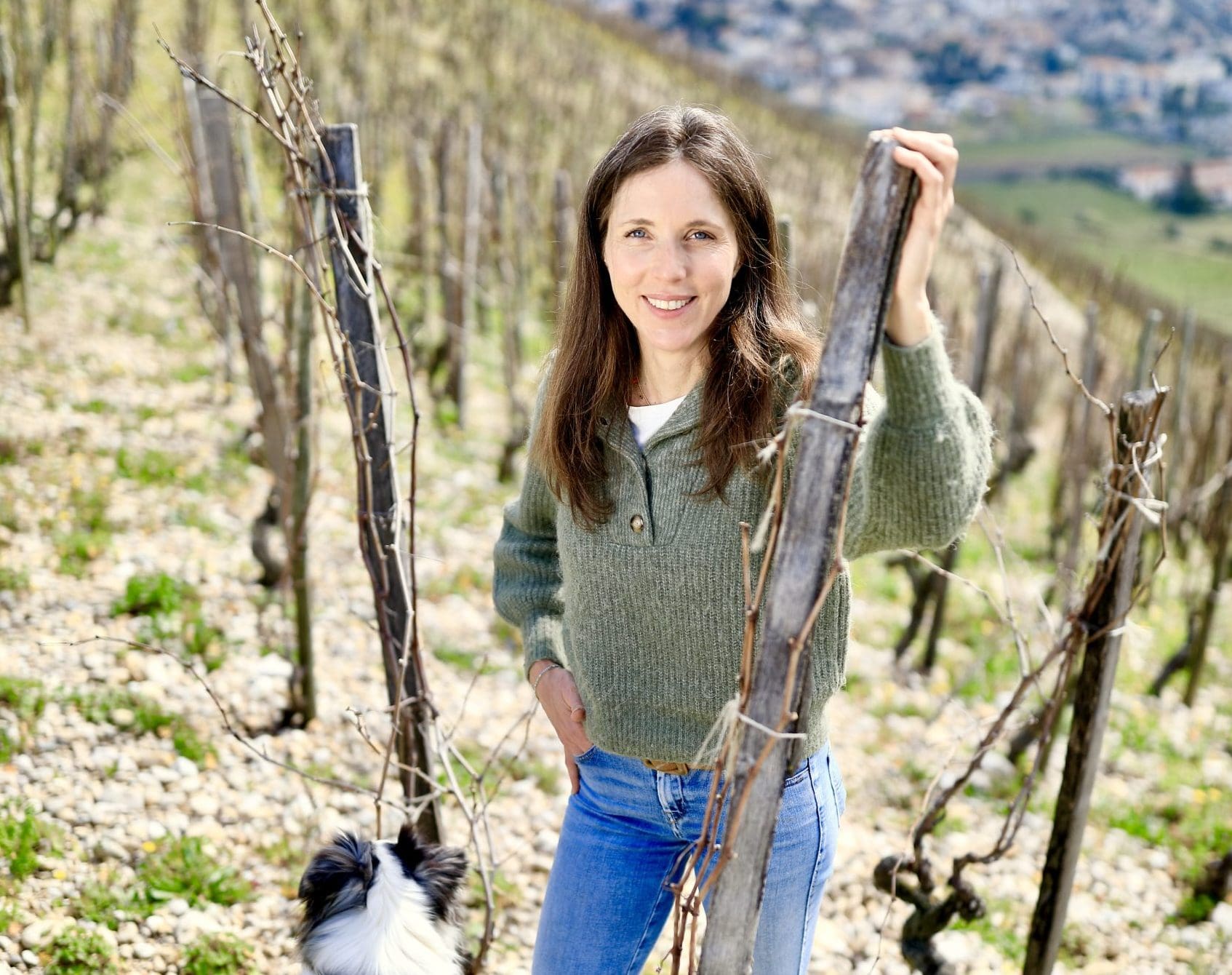 thedrinksbusiness.com