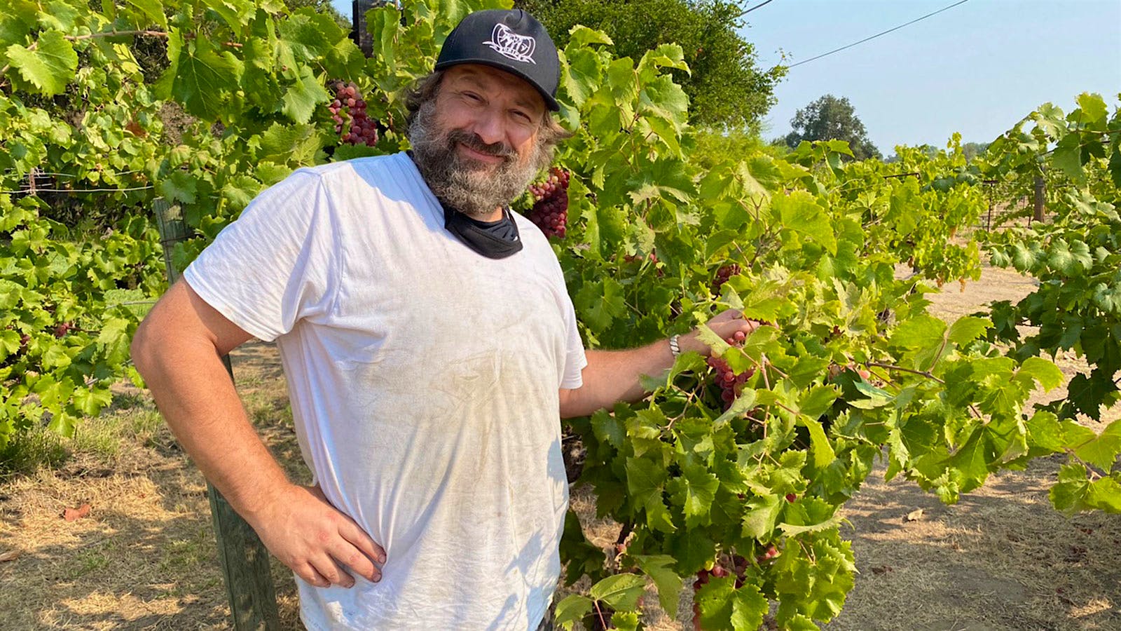 winespectator.com