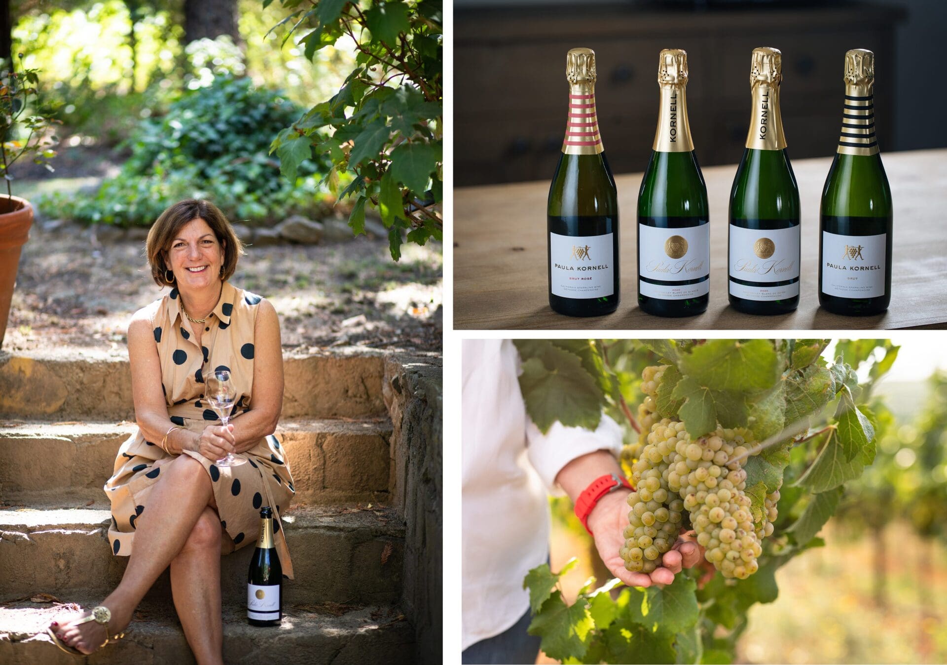 napavalleyfocus.substack.com