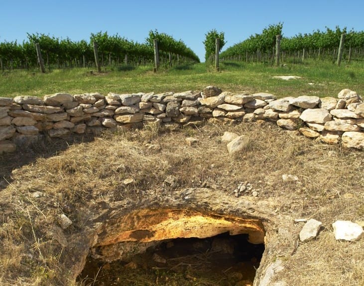winetitles.com.au