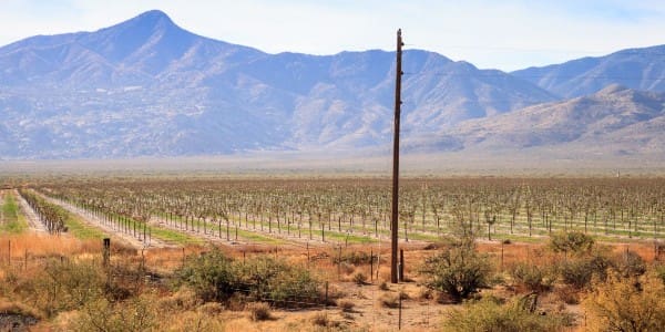 Wine Industry Network