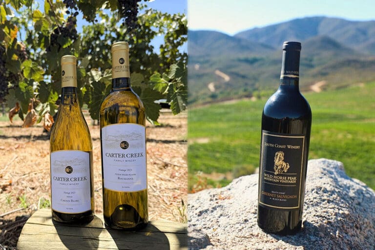 ccw+scw_sunsetinternationalcompetition_ftimg