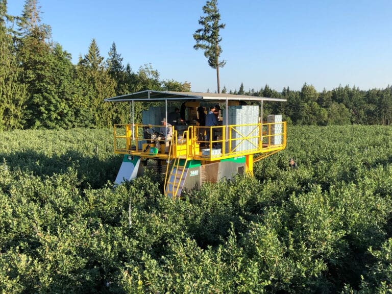 Oxbo Celebrates 40 years of Berry Harvesting_4