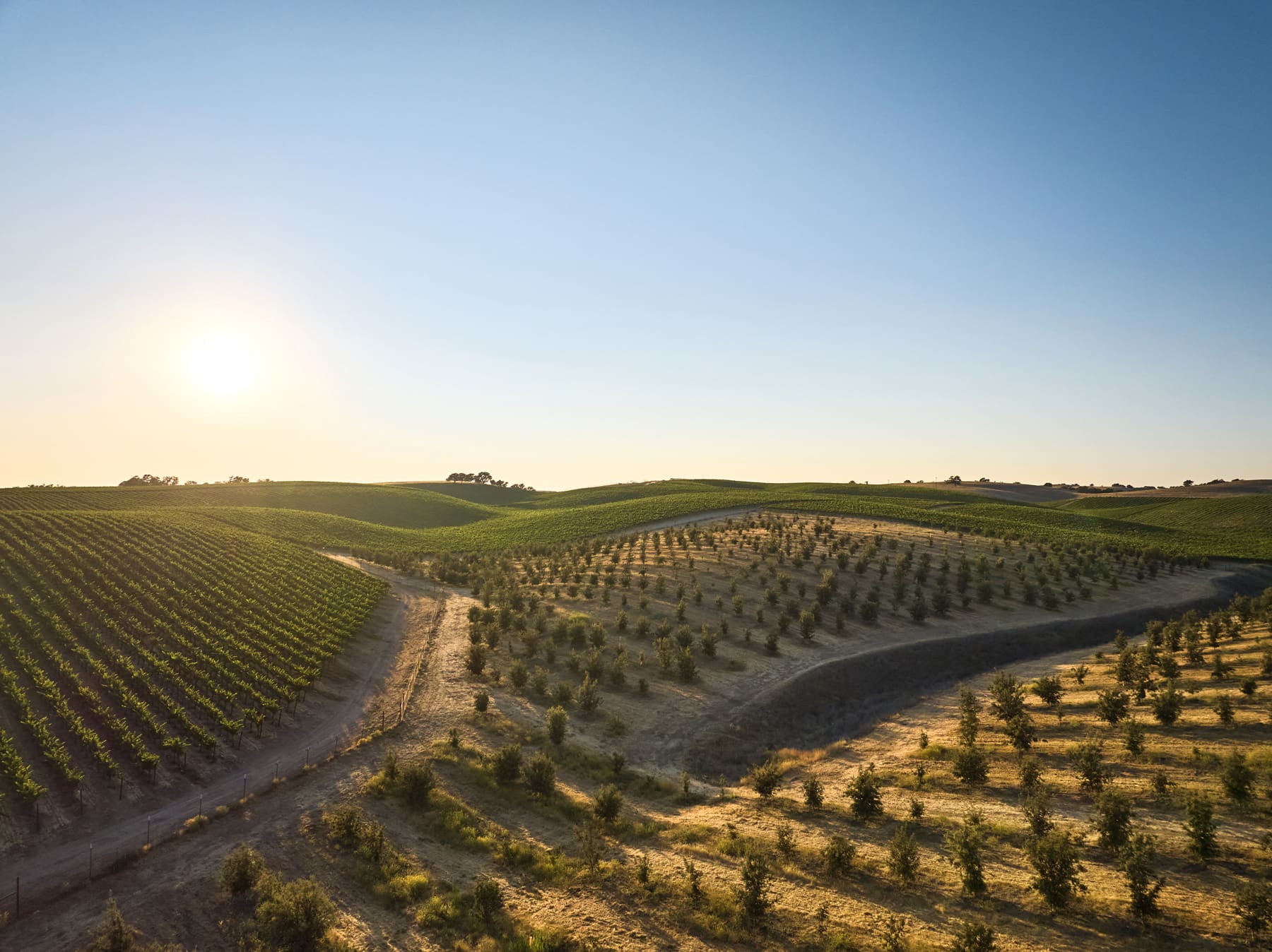 Hope Household Wines Introduces “Tufera Farms” Winery & Truffle Orchard