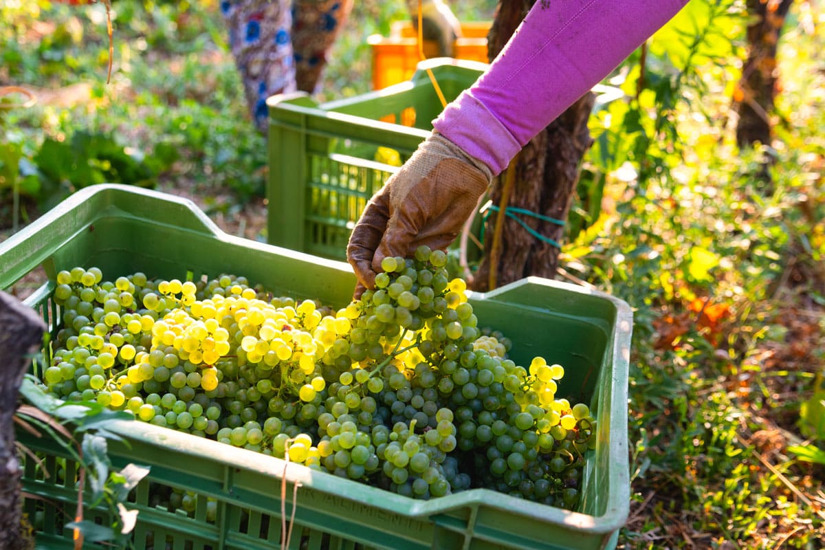 Valentina cruz desnuda