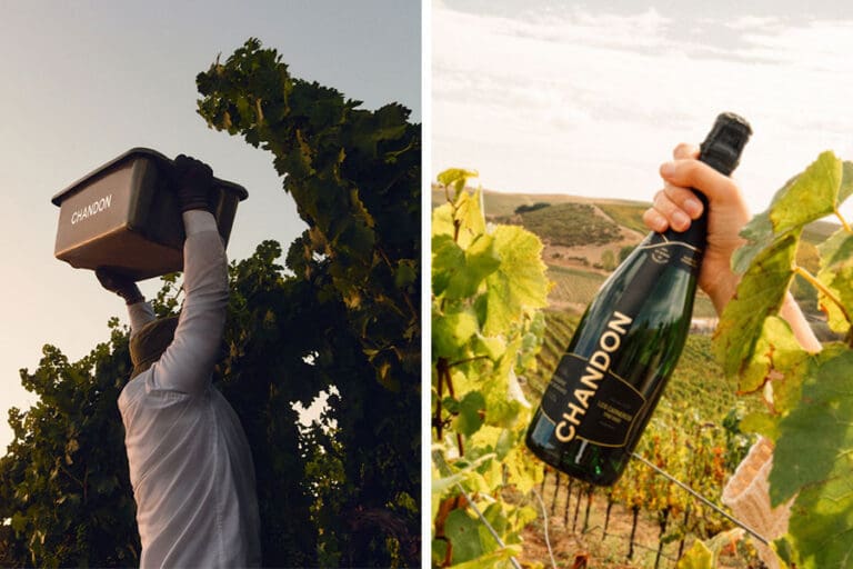 2025-HARVEST-REPORT-CHANDON-CALLS-FIRST-PICK-OF-NAPA-SPARKLING-HARVEST_ftimg
